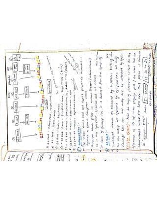 Mycology & Virology complete written notes 