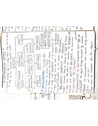 Mycology & Virology complete written notes 