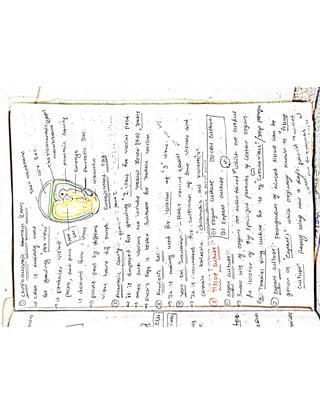 Mycology & Virology complete written notes 