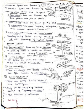 Mycology & Virology complete written notes 