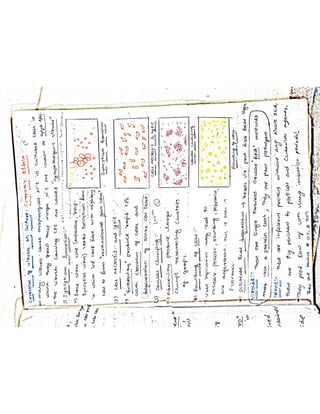 Mycology & Virology complete written notes 