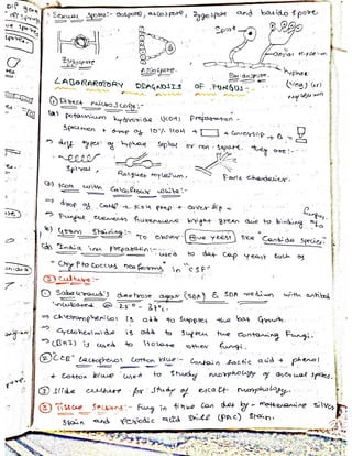 Mycology & Virology complete written notes 