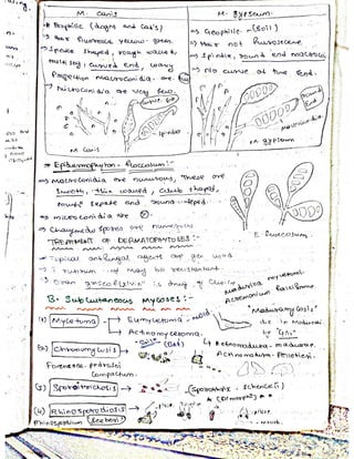 Mycology & Virology complete written notes 