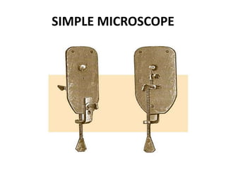 Simple Microscope Proof History, Introduction & Scope Of Microbiology | PPTX