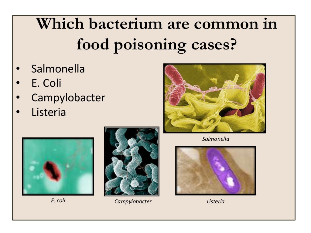 Microbiology food poisoning lecture