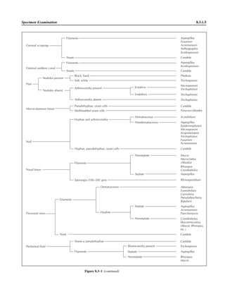 Microbiology handbook