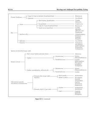 Microbiology handbook