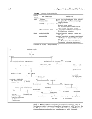 Microbiology handbook