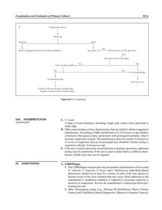 Microbiology handbook