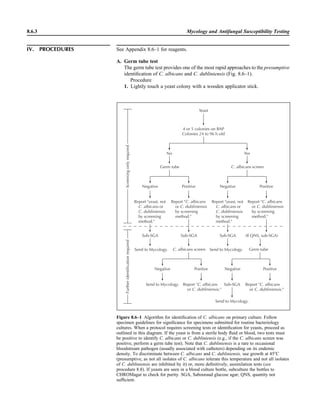 Microbiology handbook