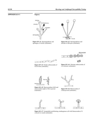 Microbiology handbook