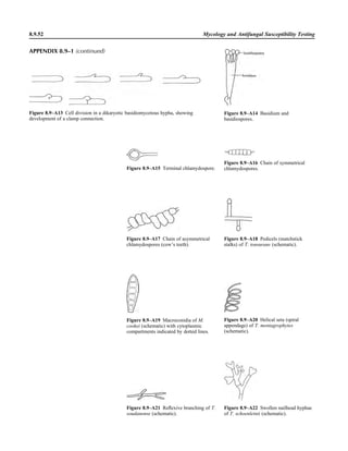 Microbiology handbook