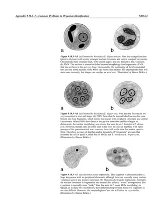 Microbiology handbook