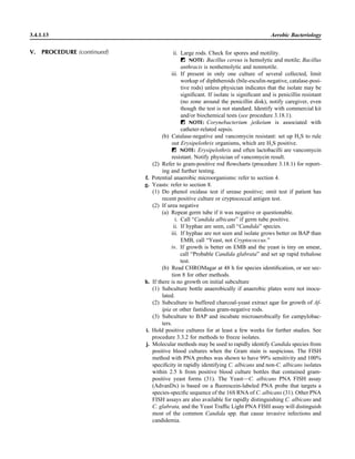ii. Large rods. Check for spores and motility.
ᮃ NOTE: Bacillus cereus is hemolytic and motile; Bacillus
anthracis is nonhemolytic and nonmotile.
iii. If present in only one culture of several collected, limit
workup of diphtheroids (bile-esculin-negative, catalase-posi-
tive rods) unless physician indicates that the isolate may be
signiﬁcant. If isolate is signiﬁcant and is penicillin resistant
(no zone around the penicillin disk), notify caregiver, even
though the test is not standard. Identify with commercial kit
and/or biochemical tests (see procedure 3.18.1).
ᮃ NOTE: Corynebacterium jeikeium is associated with
catheter-related sepsis.
(b) Catalase-negative and vancomycin resistant: set up H2S to rule
out Erysipelothrix organisms, which are H2S positive.
ᮃ NOTE: Erysipelothrix and often lactobacilli are vancomycin
resistant. Notify physician of vancomycin result.
(2) Refer to gram-positive rod ﬂowcharts (procedure 3.18.1) for report-
ing and further testing.
f. Potential anaerobic microorganisms: refer to section 4.
g. Yeasts: refer to section 8.
(1) Do phenol oxidase test if urease positive; omit test if patient has
recent positive culture or cryptococcal antigen test.
(2) If urea negative
(a) Repeat germ tube if it was negative or questionable.
i. Call “Candida albicans” if germ tube positive.
ii. If hyphae are seen, call “Candida” species.
iii. If hyphae are not seen and isolate grows better on BAP than
EMB, call “Yeast, not Cryptococcus.”
iv. If growth is better on EMB and the yeast is tiny on smear,
call “Probable Candida glabrata” and set up rapid trehalose
test.
(b) Read CHROMagar at 48 h for species identiﬁcation, or see sec-
tion 8 for other methods.
h. If there is no growth on initial subculture
(1) Subculture bottle anaerobically if anaerobic plates were not inocu-
lated.
(2) Subculture to buffered charcoal-yeast extract agar for growth of Af-
ipia or other fastidious gram-negative rods.
(3) Subculture to BAP and incubate microaerobically for campylobac-
ters.
i. Hold positive cultures for at least a few weeks for further studies. See
procedure 3.3.2 for methods to freeze isolates.
j. Molecular methods may be used to rapidly identify Candida species from
positive blood cultures when the Gram stain is suspicious. The FISH
method with PNA probes was shown to have 99% sensitivity and 100%
speciﬁcity in rapidly identifying C. albicans and non-C. albicans isolates
within 2.5 h from positive blood culture bottles that contained gram-
positive yeast forms (31). The Yeast—C. albicans PNA FISH assay
(AdvanDx) is based on a ﬂuorescein-labeled PNA probe that targets a
species-speciﬁc sequence of the 16S RNA of C. albicans (31). Other PNA
FISH assays are also available for rapidly distinguishing C. albicans and
C. glabrata, and the Yeast Trafﬁc Light PNA FISH assay will distinguish
most of the common Candida spp. that cause invasive infections and
candidemia.
3.4.1.13 Aerobic Bacteriology
V. PROCEDURE (continued)
 