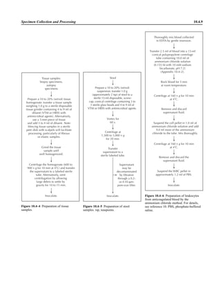 Microbiology handbook