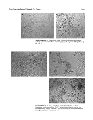 Microbiology handbook