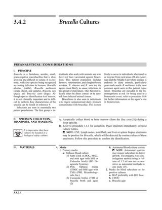 3.4.2.1
3.4.2 Brucella Cultures
P R E A N A L Y T I C A L C O N S I D E R A T I O N S
I. PRINCIPLE
Brucella is a fastidious, aerobic, small,
gram-negative coccobacillus that is slow
growing and difﬁcult to isolate. It is zoo-
notic, with four species being recognized
as causing infection in humans: Brucella
abortus (cattle), Brucella melitensis
(goats, sheep, and camels), Brucella suis
(pigs), and Brucella canis (dogs). Al-
though species identiﬁcation is of interest,
it is not clinically important and is difﬁ-
cult to perform. Key characteristics of the
species can be found in reference 9.
Infections are seen in essentially two
patient populations. The ﬁrst group is in-
dividuals who work with animals and who
have not been vaccinated against brucel-
losis. This patient population includes
farmers, veterinarians, and slaughterhouse
workers. B. abortus and B. suis are the
agents most likely to cause infections in
this group of individuals. They become in-
fected either by direct contact or by aero-
sol from infected animal tissues.
Brucellosis is also seen in individuals
who ingest unpasteurized dairy products
contaminated with brucellae. This is most
likely to occur in individuals who travel to
or migrate from rural areas of Latin Amer-
ican and the Middle East where disease is
endemic in dairy animals, particularly
goats and camels. B. melitensis is the most
common agent seen in this patient popu-
lation. Brucellae are included in the mi-
croorganisms at risk for being used in a
bioterrorist event; refer to procedure 16.6
for further information on this agent’s role
in bioterrorism.
II. SPECIMEN COLLECTION,
TRANSPORT, AND HANDLING
A. Aseptically collect blood or bone marrow (from the iliac crest [8]) during a
fever episode.
B. Refer to procedure 3.4.1 for collection. Place specimen immediately in blood
culture bottles.
ᮃ NOTE: CSF, lymph nodes, joint ﬂuid, and liver or spleen biopsy specimens
may be positive for Brucella, which will be detected by routine culture of these
specimens. Follow this procedure to conﬁrm the identiﬁcation.
III. MATERIALS A. Media
1. Primary media
a. Biphasic blood culture
(1) Septi-Chek (CHOC, MAC,
and malt agar with BHI or
Columbia broth) (BD Di-
agnostic Systems)
(2) PML biphasic media
(CHOC and BHI agar with
TSB) (PML Microbiologi-
cals, Inc.)
(3) Castaneda bottles (TSB or
brucella broth and agar)
(2)
b. Automated blood culture system
ᮃ NOTE: Automated systems
may require subculture to detect
growth. The pediatric lysis-cen-
trifugation method using a vol-
ume of 1.5 ml was not as sen-
sitive as automated methods in
one study (15).
2. Media for blind subculture or for
positive cultures
a. BAP preferably with BHI base
b. CHOC
c. Brucella agar
It is imperative that these
cultures be handled in a
biological safety cabinet.
 