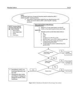 Brucella Cultures 3.4.2.4
Figure 3.4.2–1 Identiﬁcation ﬂowchart for Brucella spp. from cultures
 