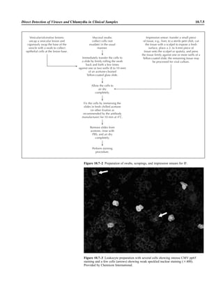 Microbiology handbook