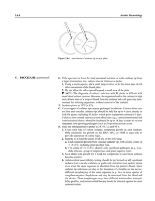 3.6.4 Aerobic Bacteriology
E. If the specimen is from the total parenteral nutrition or is the catheter tip from
a hyperalimentation line, culture also for Malassezia furfur.
1. Using a sterile pipette, add a small drop of olive oil to the initial area of roll
after inoculation of the blood plate.
2. Do not allow the oil to spread beyond a small area of the plate.
ᮃ NOTE: The diagnosis of catheter infection with M. furfur is difﬁcult with
most blood culture systems. However, the organism load in the catheter is high
and a Gram stain of a drop of blood from the catheter hub will generally dem-
onstrate the infecting organisms, without removal of the catheter.
F. Incubate plates at 35ЊC in CO2.
G. Certain types of catheter tips require prolonged incubation. Cultures from cen-
tral line and vascular catheter tips should be held for up to 4 days, mainly to
look for yeasts, including M. furfur, which grow as pinpoint colonies in 3 days.
Cultures from central nervous system shunt tips (e.g., ventriculoperitoneal and
ventriculoatrial shunts) should be incubated for up to 14 days in order to recover
important slow-growing pathogens such as Propionibacterium acnes.
H. Read the semiquantitative plates at 24, 48, 72, and 96 h.
1. Count each type of colony isolated, comparing growth on each medium.
Only enumerate the growth on the BAP; MAC or EMB is used only to
provide separation of colony types.
2. Identify to at least the genus level any of the following.
a. Each organism present from vascular catheter tips with colony counts of
Ͼ15 CFU, including gram-positive rods.
b. For counts of Ͻ15 CFU, identify only signiﬁcant pathogens (e.g., Can-
dida albicans, group A streptococci, and gram-negative rods).
3. Save plates with growth for 1 week for comparison in case blood cultures
become positive.
4. Antimicrobial susceptibility testing should be performed on all signiﬁcant
isolates from vascular catheters or grafts and central nervous system shunts
even when the same organism is identiﬁed from the patient’s blood. Since
catheter tip infections are due to the formation of a bioﬁlm on the device,
different morphotypes of the same organism (e.g., two or more species of
coagulase-negative Staphylococcus) may be recovered from the blood and
the device. These morphotypes may have different antimicrobial suscepti-
bility proﬁles, and antimicrobial therapy should be directed against the most
resistant isolate.
V. PROCEDURE (continued)
Figure 3.6–1 Inoculation of catheter tip to agar plate.
 