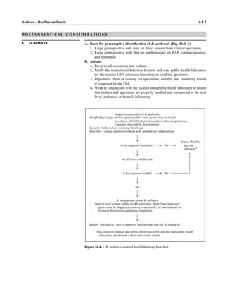 Microbiology handbook