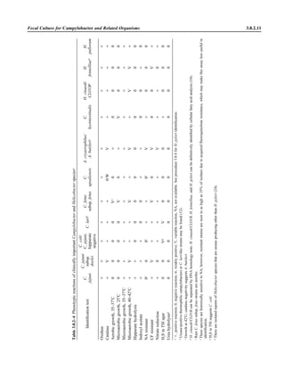 Fecal Culture for Campylobacter and Related Organisms 3.8.2.11
Table3.8.2–4PhenotypicreactionsofclinicallyimportantCampylobacterandHelicobacterspeciesa
Identiﬁcationtest
C.
jejuni
C.jejuni
subsp.
doylei
C.coli/
C.jejuni,
hippurate
negative
C.laribC.fetus
subsp.fetus
C.
upsaliensis
A.cryaerophilus/
A.butzleric
C.
hyointestinalis
H.cinaedi/
CLO1Bd
H.
fennelliaed
H.
pullorum
Oxidase‫ם‬‫ם‬‫ם‬‫ם‬‫ם‬‫ם‬‫ם‬‫ם‬‫ם‬‫ם‬‫ם‬
Catalase‫ם‬V‫ם‬‫ם‬‫ם‬0/WV‫ם‬‫ם‬‫ם‬‫ם‬
Aerobicgrowth,35–37ЊC0000Ve
0‫ם‬0000
Microaerobicgrowth,25ЊC0000V0‫ם‬V000
Microaerobicgrowth,35–37ЊC‫ם‬‫ם‬‫ם‬‫ם‬‫ם‬‫ם‬‫ם‬‫ם‬‫ם‬‫ם‬‫ם‬
Microaerobicgrowth,40–42ЊC‫ם‬V‫ם‬‫ם‬V‫ם‬V‫ם‬VV‫ם‬
Hippuratehydrolysis‫ם‬‫ם‬000000000
Indoxylacetate‫ם‬‫ם‬‫ם‬00‫ם‬‫ם‬00‫ם‬0
NAresistant0f
00f
‫ם‬‫ם‬0f
V‫ם‬000
CFresistant‫ם‬V‫ם‬‫ם‬V0V00V‫ם‬
Nitratereduction‫ם‬0‫ם‬‫ם‬‫ם‬‫ם‬V‫ם‬‫ם‬0‫ם‬
H2SinTSIagar00Vg
V000‫ם‬000
Ureahydrolysish
00000000000
a
‫,ם‬positivereaction;0,negativereaction;w,weaklypositive;V,variablereaction,NA,notavailable.Seeprocedure3.8.4forH.pyloriidentiﬁcation.
b
Urease-positivethermophiliccampylobactersorC.lari-likestrainsmaybefound(12).
c
Growthat42ЊC;catalasenegativitysuggestsA.butzleri.
d
H.cinaedi/CLO1BcanbeseparatedbyDNAhomologytests.H.cinaedi/CLO1B,H.fennelliae,andH.pyloricanbedeﬁnitivelyidentiﬁedbycellularfattyacidanalysis(10).
e
RareC.fetussubsp.fetusstrainsareaerobic.
f
ThesespeciesarehistoricallysensitivetoNA;however,resistantstrainsareseeninashighas35%ofisolatesduetoacquiredﬂuoroquinoloneresistance,whichmaymakethisassaylessusefulin
identiﬁcation.
g
H2SinTSIsuggestsC.coli.
h
ThereareisolatedreportsofHelicobacterspeciesthatareureaseproducingotherthanH.pylori(24).
 