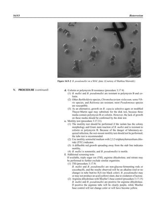 Microbiology handbook