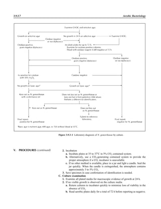 2. Incubation
a. Incubate plates at 35 to 37ЊC in 5% CO2 contained system.
b. Alternatively, use a CO2-generating contained system to provide the
proper atmosphere if a CO2 incubator is unavailable.
c. If no other method is available, place in a jar and light a candle. Seal the
jar quickly. When the candle is extinguished, the atmosphere contains
approximately 3 to 5% CO2.
3. Save specimen in case conﬁrmation of identiﬁcation is needed.
C. Culture examination
1. Examine all plated media for macroscopic evidence of growth at 24 h.
2. If no visible growth is observed on the culture media
a. Return cultures to incubator quickly to minimize loss of viability in the
absence of CO2.
b. Read aerobic plates daily for a total of 72 h before reporting as negative.
3.9.3.7 Aerobic Bacteriology
Figure 3.9.3–1 Laboratory diagnosis of N. gonorrhoeae by culture.
V. PROCEDURES (continued)
 