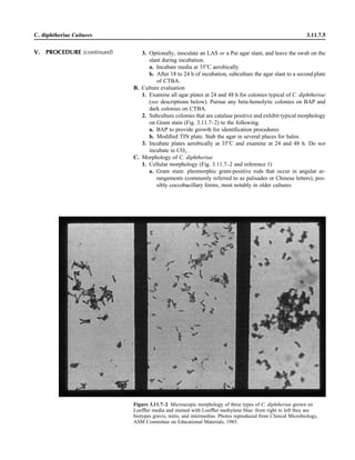 Microbiology handbook