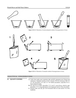 Microbiology handbook