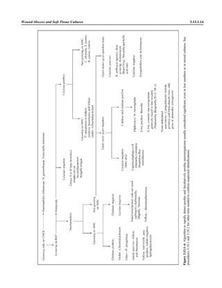 Microbiology handbook