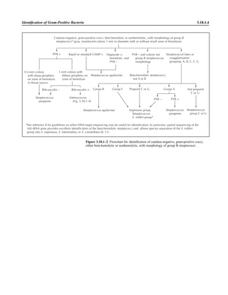 Microbiology handbook