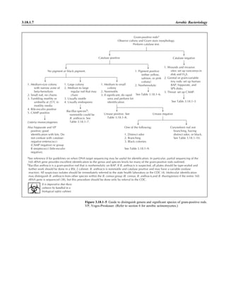 Microbiology handbook