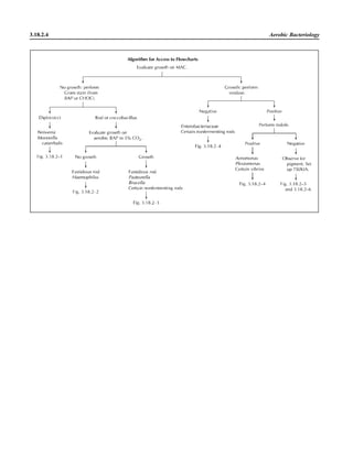 Microbiology handbook