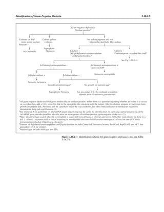 Microbiology handbook
