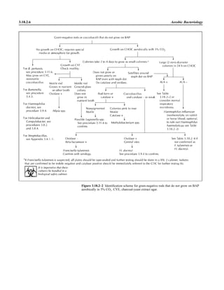 Microbiology handbook