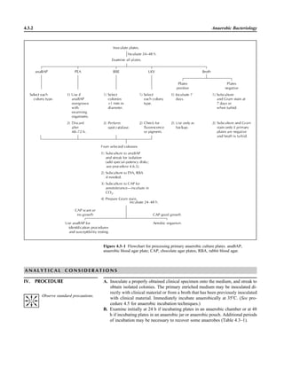 Microbiology handbook