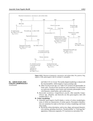 Microbiology handbook