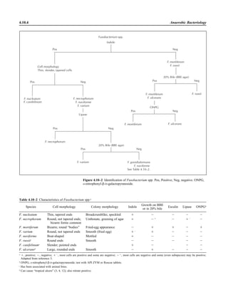 Microbiology handbook