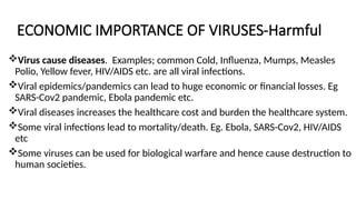 ECONOMIC IMPORTANCE OF VIRUSES-Harmful
Virus cause diseases. Examples; common Cold, Influenza, Mumps, Measles
Polio, Yellow fever, HIV/AIDS etc. are all viral infections.
Viral epidemics/pandemics can lead to huge economic or financial losses. Eg
SARS-Cov2 pandemic, Ebola pandemic etc.
Viral diseases increases the healthcare cost and burden the healthcare system.
Some viral infections lead to mortality/death. Eg. Ebola, SARS-Cov2, HIV/AIDS
etc
Some viruses can be used for biological warfare and hence cause destruction to
human societies.
 