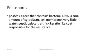 Endospores
• possess a core that contains bacterial DNA, a small
amount of cytoplasm, cell membrane, very little
water, peptidoglycan, a thick keratin like coat
responsible for the resistance
8/27/2023 MICROBIOLOGY INTRO BLOCK
 
