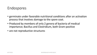 Endospores
• germinate under favorable nutritional conditions after an activation
process that involves damage to the spore coat.
• Produced by members of only 2 genera of bacteria of medical
importance; Bacillus and Clostridium, both Gram-positive
• are not reproductive structures
8/27/2023 MICROBIOLOGY INTRO BLOCK
 