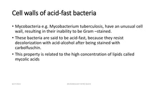 Cell walls of acid-fast bacteria
• Mycobacteria e.g. Mycobacterium tuberculosis, have an unusual cell
wall, resulting in their inability to be Gram –stained.
• These bacteria are said to be acid-fast, because they resist
decolorization with acid-alcohol after being stained with
carbolfuschin.
• This property is related to the high concentration of lipids called
mycolic acids
8/27/2023 MICROBIOLOGY INTRO BLOCK
 