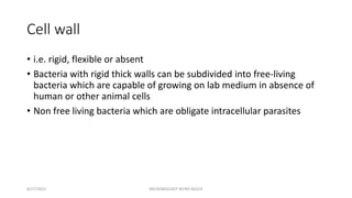 Cell wall
• i.e. rigid, flexible or absent
• Bacteria with rigid thick walls can be subdivided into free-living
bacteria which are capable of growing on lab medium in absence of
human or other animal cells
• Non free living bacteria which are obligate intracellular parasites
8/27/2023 MICROBIOLOGY INTRO BLOCK
 