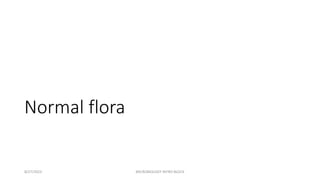 Normal flora
8/27/2023 MICROBIOLOGY INTRO BLOCK
 