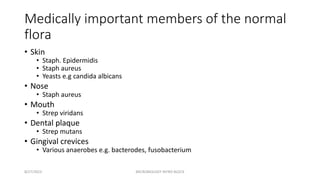 Medically important members of the normal
flora
• Skin
• Staph. Epidermidis
• Staph aureus
• Yeasts e.g candida albicans
• Nose
• Staph aureus
• Mouth
• Strep viridans
• Dental plaque
• Strep mutans
• Gingival crevices
• Various anaerobes e.g. bacterodes, fusobacterium
8/27/2023 MICROBIOLOGY INTRO BLOCK
 