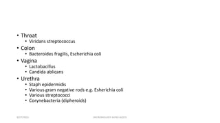• Throat
• Viridans streptococcus
• Colon
• Bacteroides fragilis, Escherichia coli
• Vagina
• Lactobacillus
• Candida ablicans
• Urethra
• Staph epidermidis
• Various gram negative rods e.g. Esherichia coli
• Various streptococci
• Corynebacteria (dipheroids)
8/27/2023 MICROBIOLOGY INTRO BLOCK
 