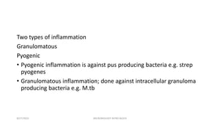 Two types of inflammation
Granulomatous
Pyogenic
• Pyogenic inflammation is against pus producing bacteria e.g. strep
pyogenes
• Granulomatous inflammation; done against intracellular granuloma
producing bacteria e.g. M.tb
8/27/2023 MICROBIOLOGY INTRO BLOCK
 