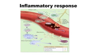 Inflammatory response
 