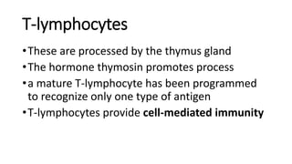 T-lymphocytes
•These are processed by the thymus gland
•The hormone thymosin promotes process
•a mature T-lymphocyte has been programmed
to recognize only one type of antigen
•T-lymphocytes provide cell-mediated immunity
 